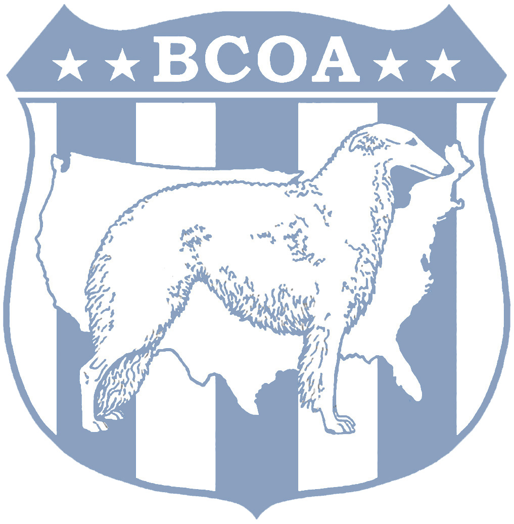 About the Borzoi Club of America, Inc