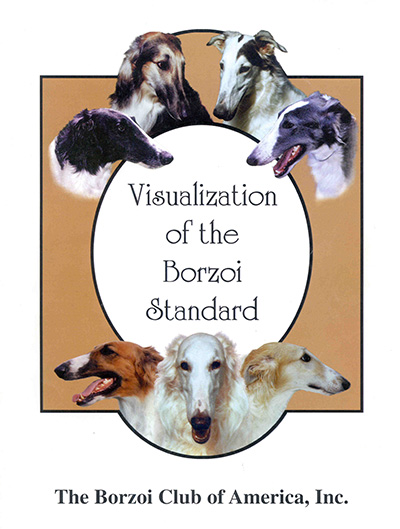 Visualization of the Borzoi breed standard booklet graphic