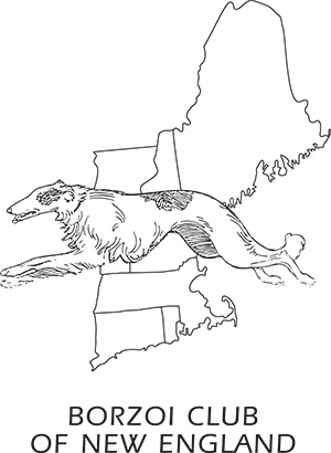 Borzoi Club of New England logo