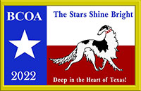 2022 BCOA national logo