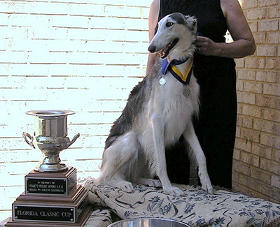 2008 National Supplement - Borzoi Club of America