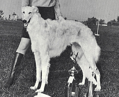 1969 Bitch, Bred by Exhibitor - 1st
