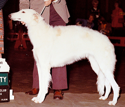 1974 Best Senior Puppy In Futurity