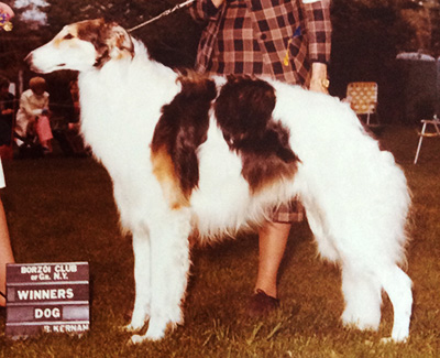 1978 Winners Dog