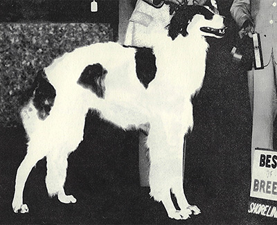 1978 Dog, Open - 3rd