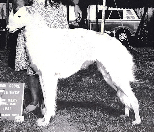 1985 Obedience Utility Class - 1st