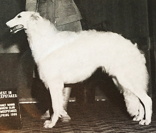 1986 Third In Puppy Sweepstakes
