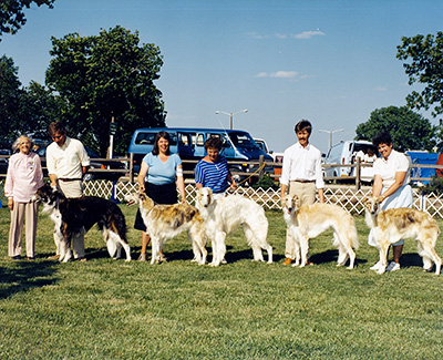 1987 Stud Dog Class - 1st