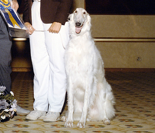 1989 High in Obedience Trial