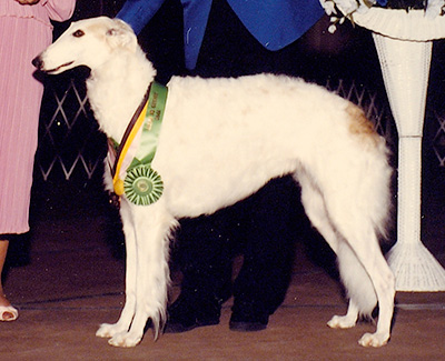 1990 Award of Merit