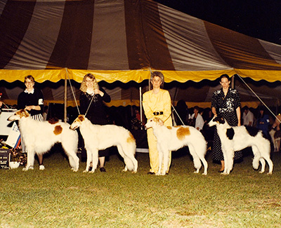 1991 Futurity Stud Dog Class - 1st