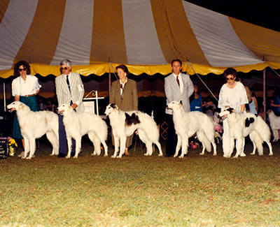 1991 Futurity Stud Dog Class - 2nd