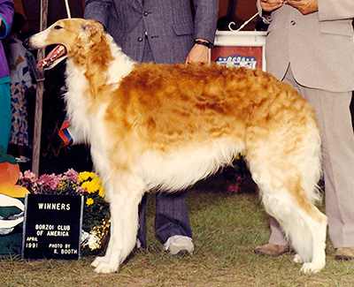 1991 Winners Dog