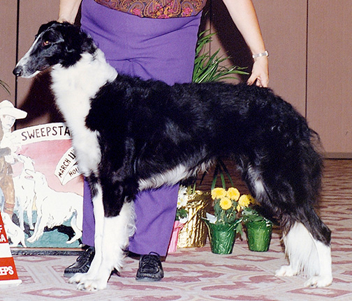 1992 Best of Opposite Sex To Best In Puppy Sweepstakes