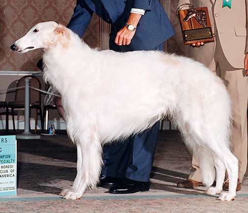 1994 Futurity Senior Dog, 21 months and under 24 - 1st