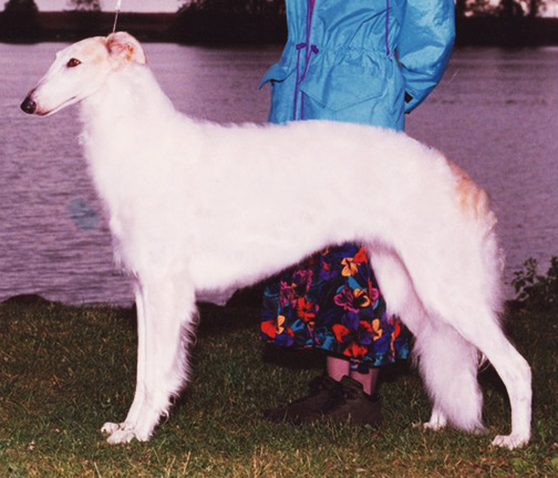 1994 Obedience Novice Class 'A' - 3rd