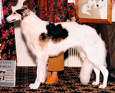 1995 Best Bred By Exhibitor In Specialty