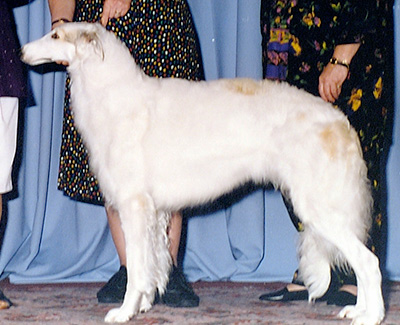 1996 Award of Merit