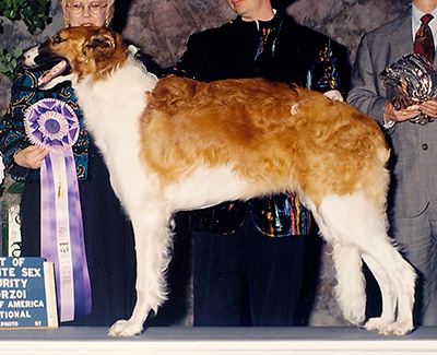 1997 Dog, 6 months and under 9 - 2nd
