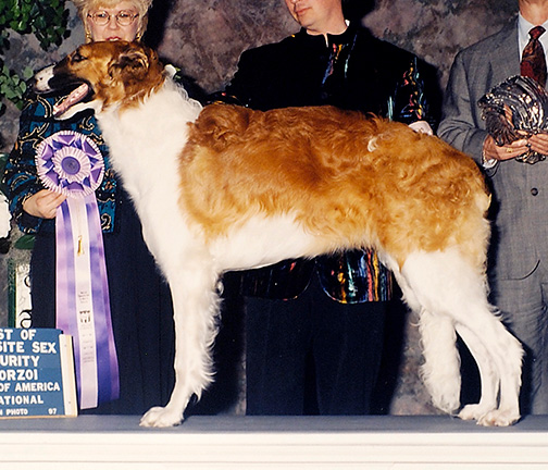 1997 Dog, 6 months and under 9 - 2nd