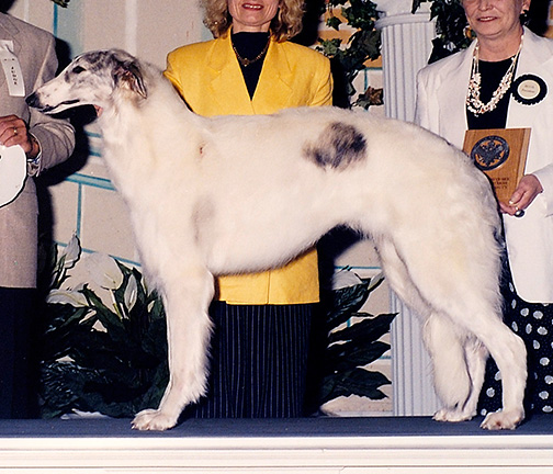 1997 Best of Opposite Sex To Best In Puppy Sweepstakes