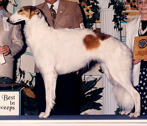 1997 Best in Puppy Sweepstakes