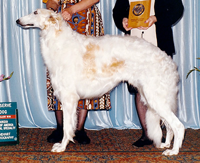 1999 Reserve Winners Dog