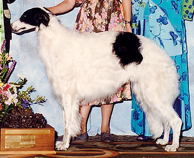 1992 Best Bred By Exhibitor In Specialty