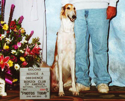 2000 Obedience Novice Class 'A' - 2nd
