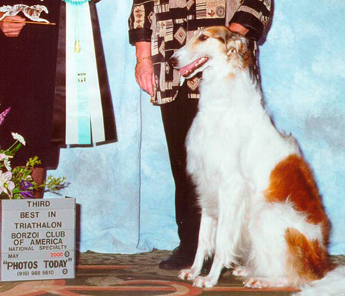 2000 Obedience Novice Class 'A' - 3rd