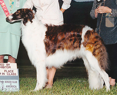2001 Futurity Senior Dog, 21 months and under 24 - 1st