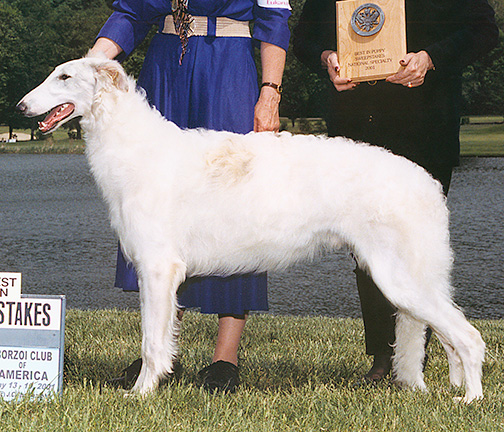 2001 Best in Puppy Sweepstakes
