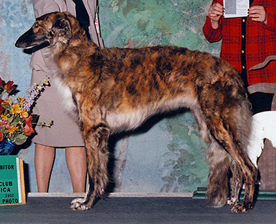 1992 Best Bred By Exhibitor In Specialty