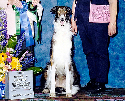 2003 Obedience Award of Merit