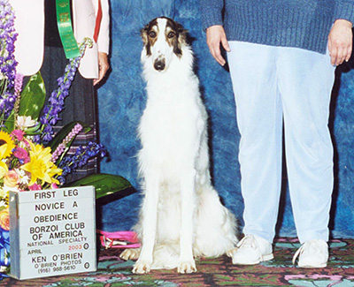 2003 Obedience Novice Class 'A' - 2nd