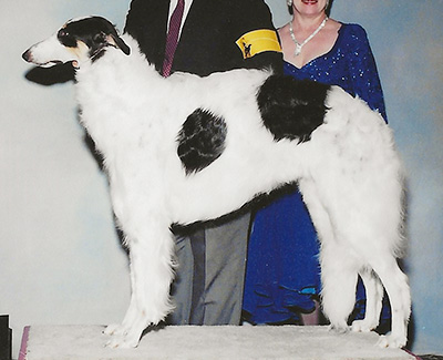 2004 Futurity Dog, 15 months and under 18 - 2nd