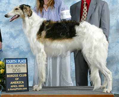 2005 Dog, 12 months and under 18 - 4th