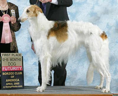 2005 Futurity Dog, 12 months and under 15 - 1st