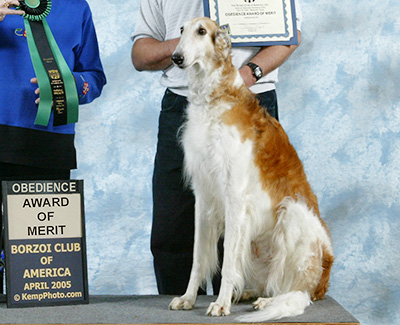 2005 Obedience Award of Merit