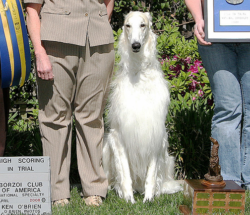 2008 High in Obedience Trial