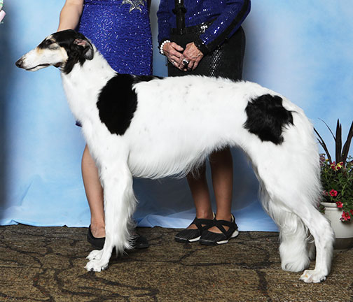 2025 Best in Futurity