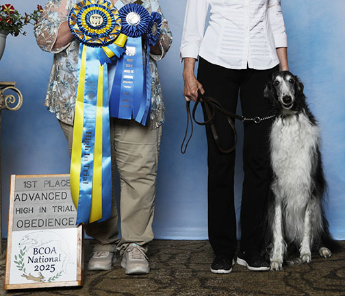 2025 High in Obedience Trial