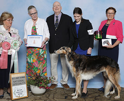 2025 Novice Junior Showman Class - 1st