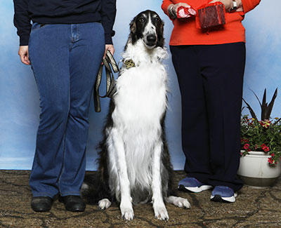 2025 Obedience Beginner Novice Class 'B' - 2nd