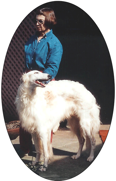 Rescue borzoi store